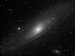 M31