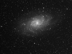 M33